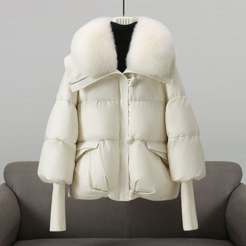 Leichte Windbreaker-Jacke mit Kapuze, wasserabweisend & winddicht | Ideal für Frühling & Herbst