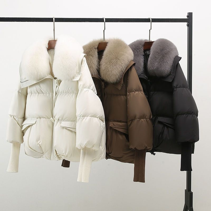 Leichte Windbreaker-Jacke mit Kapuze, wasserabweisend & winddicht | Ideal für Frühling & Herbst