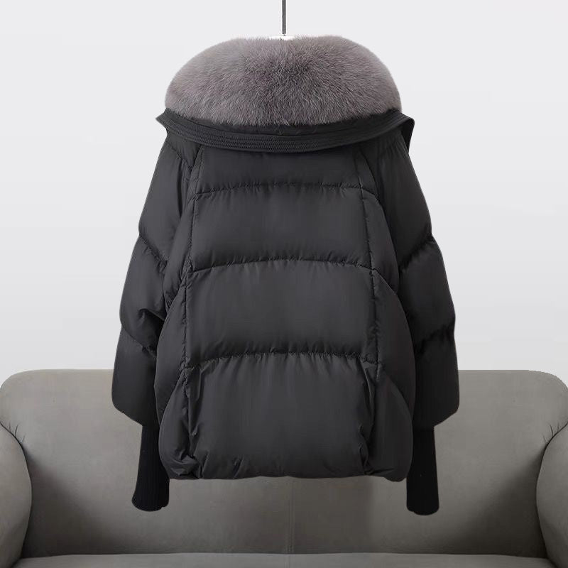 Leichte Windbreaker-Jacke mit Kapuze, wasserabweisend & winddicht | Ideal für Frühling & Herbst
