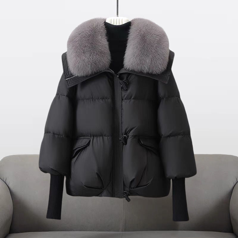 Leichte Windbreaker-Jacke mit Kapuze, wasserabweisend & winddicht | Ideal für Frühling & Herbst