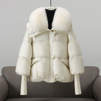 Leichte Windbreaker-Jacke mit Kapuze, wasserabweisend & winddicht | Ideal für Frühling & Herbst