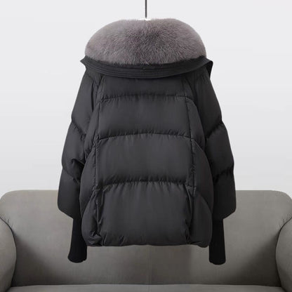 Leichte Windbreaker-Jacke mit Kapuze, wasserabweisend & winddicht | Ideal für Frühling & Herbst
