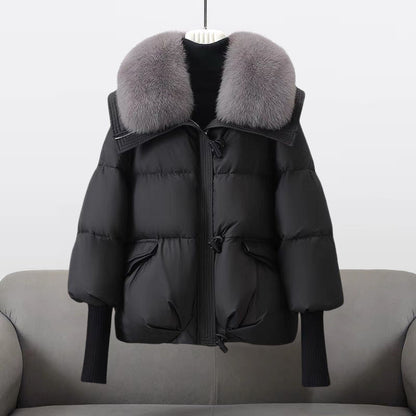 Leichte Windbreaker-Jacke mit Kapuze, wasserabweisend & winddicht | Ideal für Frühling & Herbst